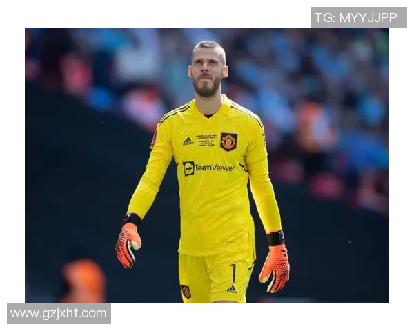 韩国足球明星黄发的崛起与成就背后的故事与影响